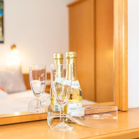 Appartement Apartmenthaus Maximilian Neukirchen am Großvenediger