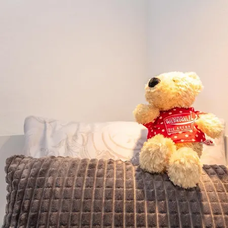 Apartmenthaus Maximilian * Neukirchen am Großvenediger