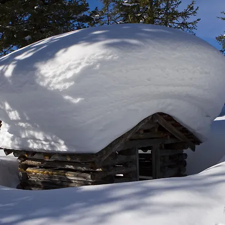 Lägenhet Apartmenthaus Maximilian *