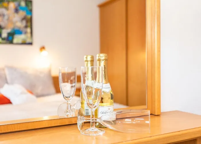 Διαμέρισμα Apartmenthaus Maximilian Neukirchen am Großvenediger