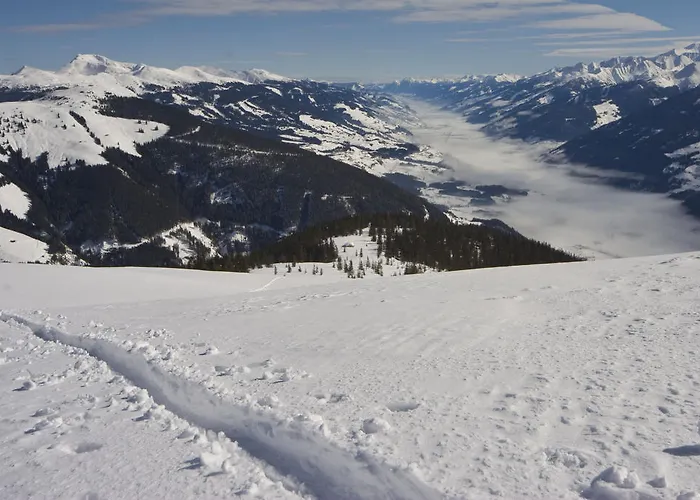 Διαμέρισμα Apartmenthaus Maximilian Neukirchen am Großvenediger