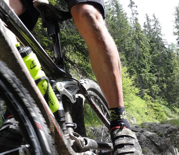 Διαμέρισμα Apartmenthaus Maximilian Neukirchen am Großvenediger